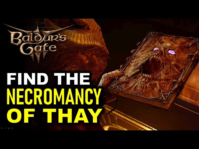 Baldur's Gate 3 - Necromancy Of Thay And Search The Cellar Guide - GameSpot