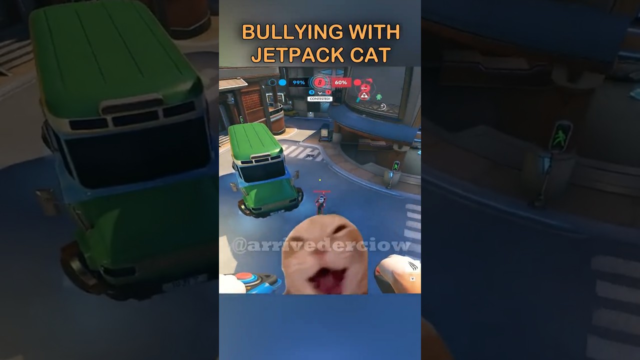 BULLYING WITH JETPACK CAT