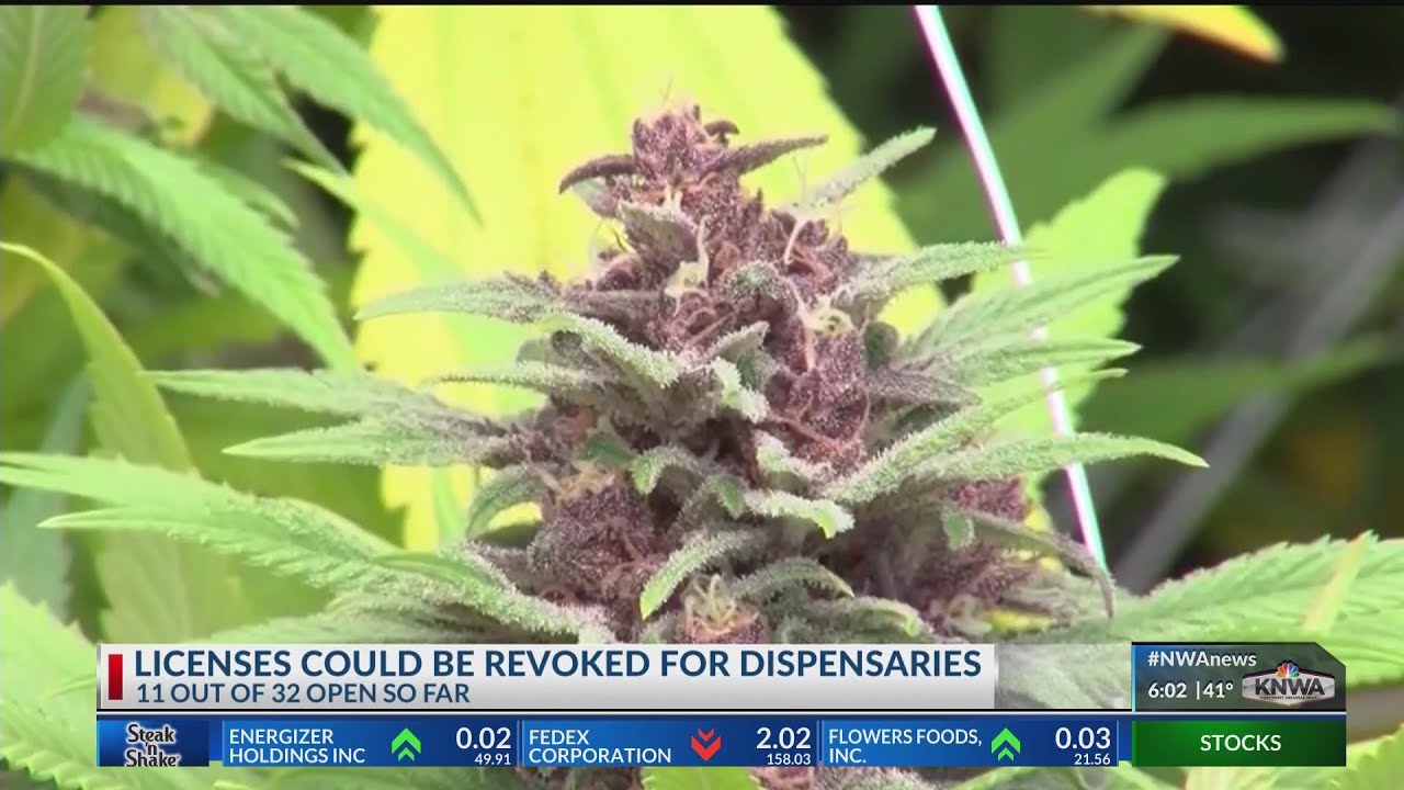 Arkansas may revoke retailers' inactive medical pot licenses KNWA