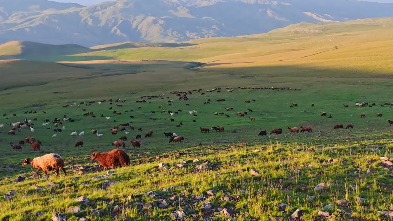 SELDE TANDUR EKMEĞİ YAPTIK YAYLADA TANDUR EKMEĞİN TADI BAŞKA.