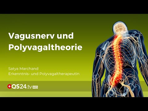 Vagusnerv und Polyvagaltheorie | NaturMEDIZIN | QS24 Gesundheitsfernsehen