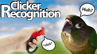 Clicker Recognition | Training Tutorial