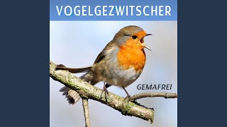 Vogelgezwitscher (Vogelstimmen zur Entspannung und für Meditation)