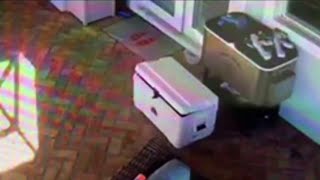 Igloo recalls coolers after child gets trapped