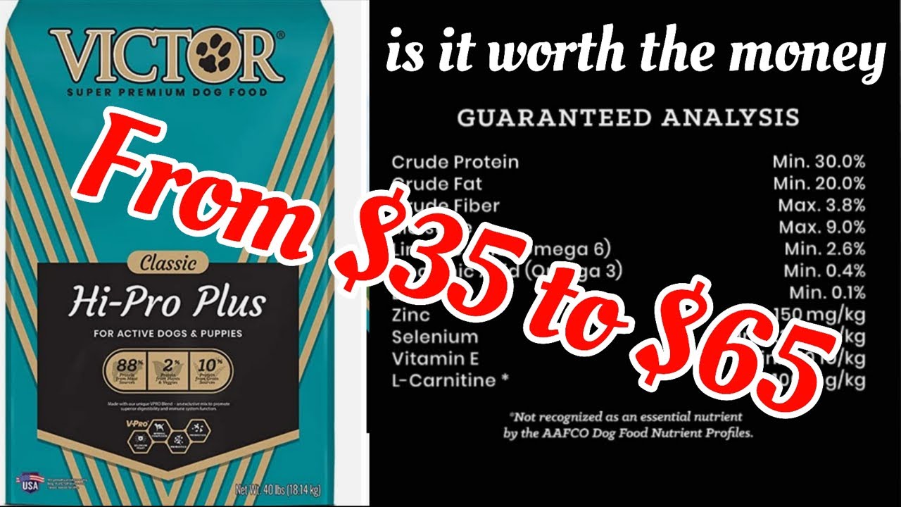 Victor Dog Food Recall And Prices YouTube Victor Dog Food Recall And Prices YouTube