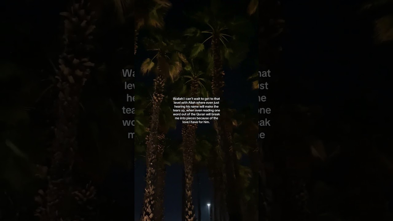 Deep Islamic Quotes ✨💕 