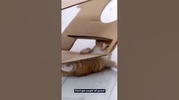 Think RANSOMWARE can