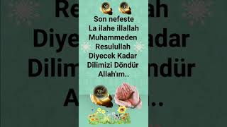 Anlamlı Güzel Sözler Anlamlı Manidar Sözler Igüzelsözler