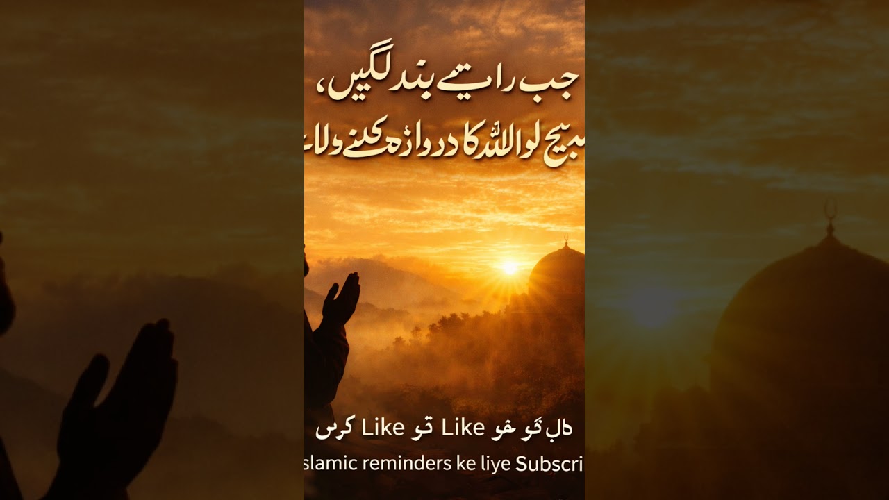 Daily Islamic Reminder 🤍Pasand aaye to Like kareinRozana reminders ke liye Subscribe 🔔