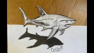 Mario Melkon 3D Art Megalodon Shark رسم قرش الميجالودون ثلاثي الأبعاد