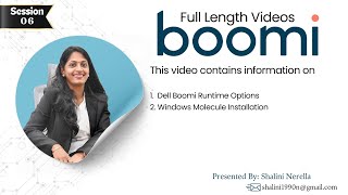 Boomi Runtime Options| Windows Molecule Installation
