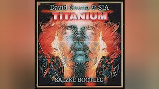 David Guetta & SIA - Titanium (Salzke Techno Room Bootleg)