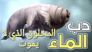 عجائب و غرائب...... المخلوق الذي لا يموت 