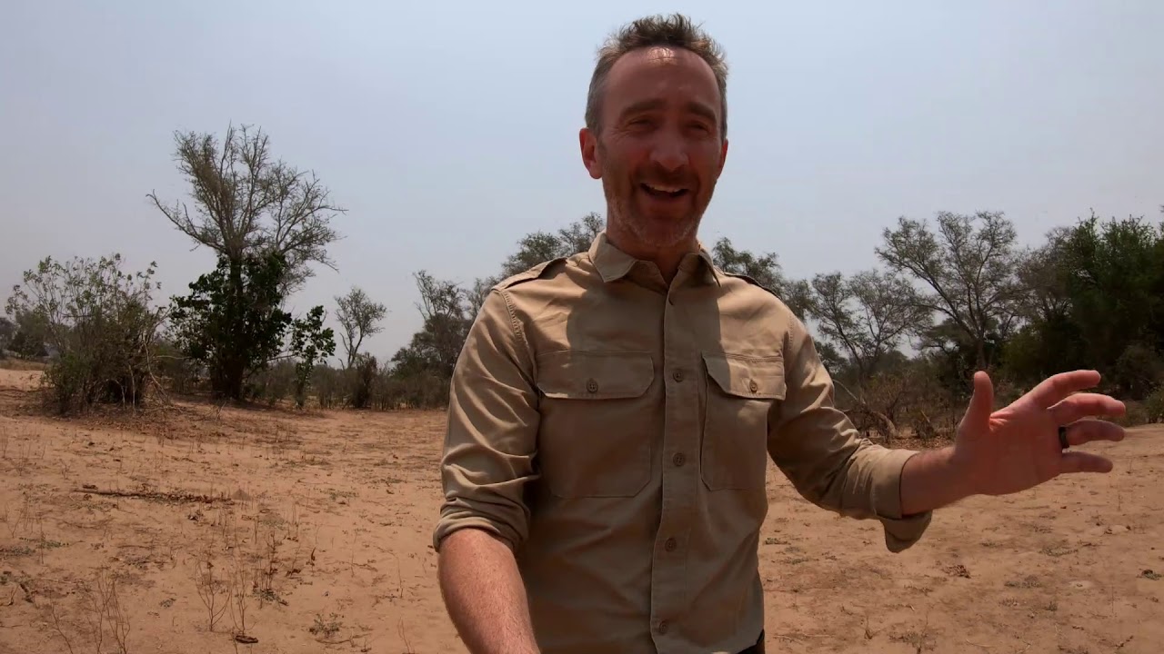 Introducing Tusk & Mane's Chula Island, Zambia - Yellow Zebra Safaris