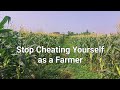 Stop cheating yourself as a farmer feed your plants and get the right results farming agriculture