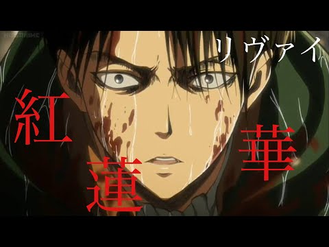 紅蓮華×進撃の巨人 MAD