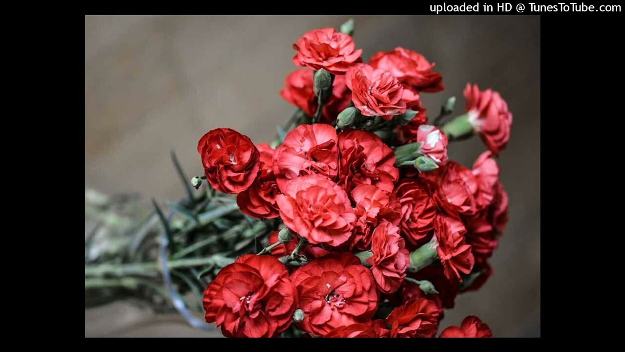 Spanish Flower - Earrand Boy (Feat. Vaughn B)