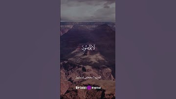 جمال التلاوة وروعة الأداء في لحظات لا تُنسى 🌸✨