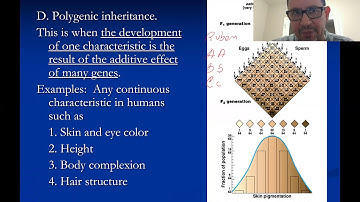 Epistasis and Polygenic Inheritance