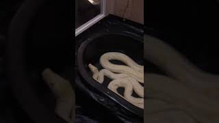 Female white phase albino retic new home