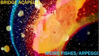 Radiohead - Weird Fishes/Arpeggi (Bridge Acapella)