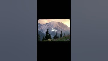 والله يريد أن يتوب عليكم ، قرأن كريم بصوت القارئ علي جابر #قران_كريم #quranic_channel