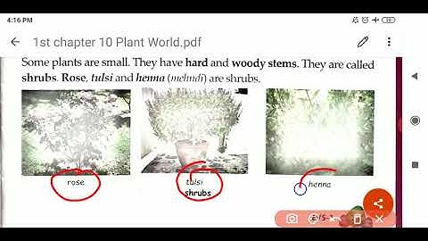 Class 1 EVS chapter 10-  Plant World