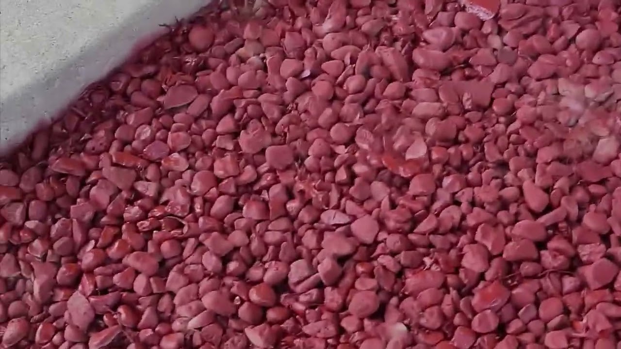 Don't throw those old rocks away! Yard revamp diy!