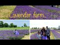 Visit to Lavender farm/Lavender flowers /চলনা ঘুরে আসি , Lavender farm এ…💟💟/Vlog #2