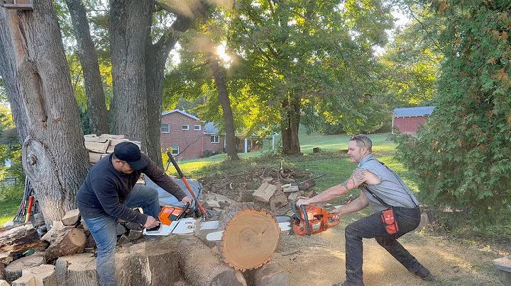 stihl 661 vs ported 372 husky - surprising results