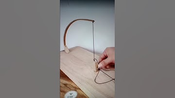 How to make a Trap for birds and Squirrels! Hit Subscribe! #subscribe #wildanimal #howtomake #nature