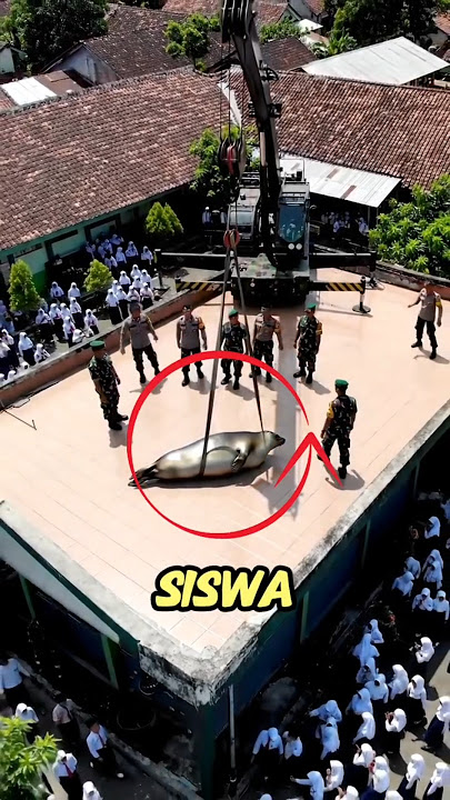 due to often skipping school.! #shorts