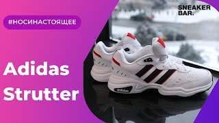 Adidas Strutter White (EG2655) Onfeet Review | sneakers.by