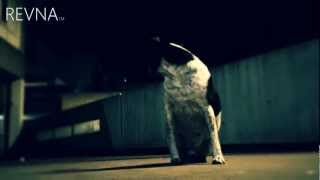 Download Lagu RevnaOfficial - She Wolf Dubstep Remix ft. Bobby MP3