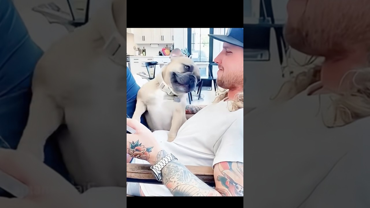 Она без ума от моего мужчины 