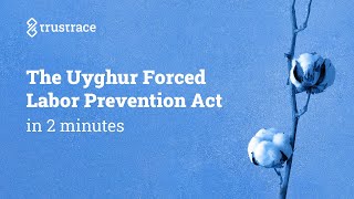 The Uyghur Forced Labor Prevention Act