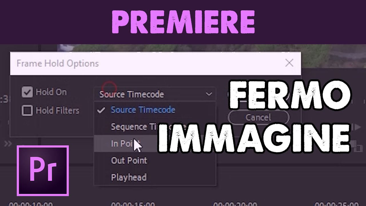 Come Esportare Un Video Da Premiere Pro