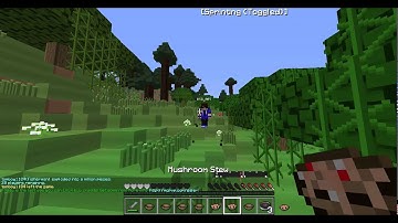 [MCPVP] HG Hacker Report #1 BSD_007