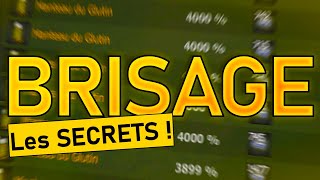 RICHE AVEC LE BRISAGE - TUTO COMPLET DOFUS (Kamas / Strats)