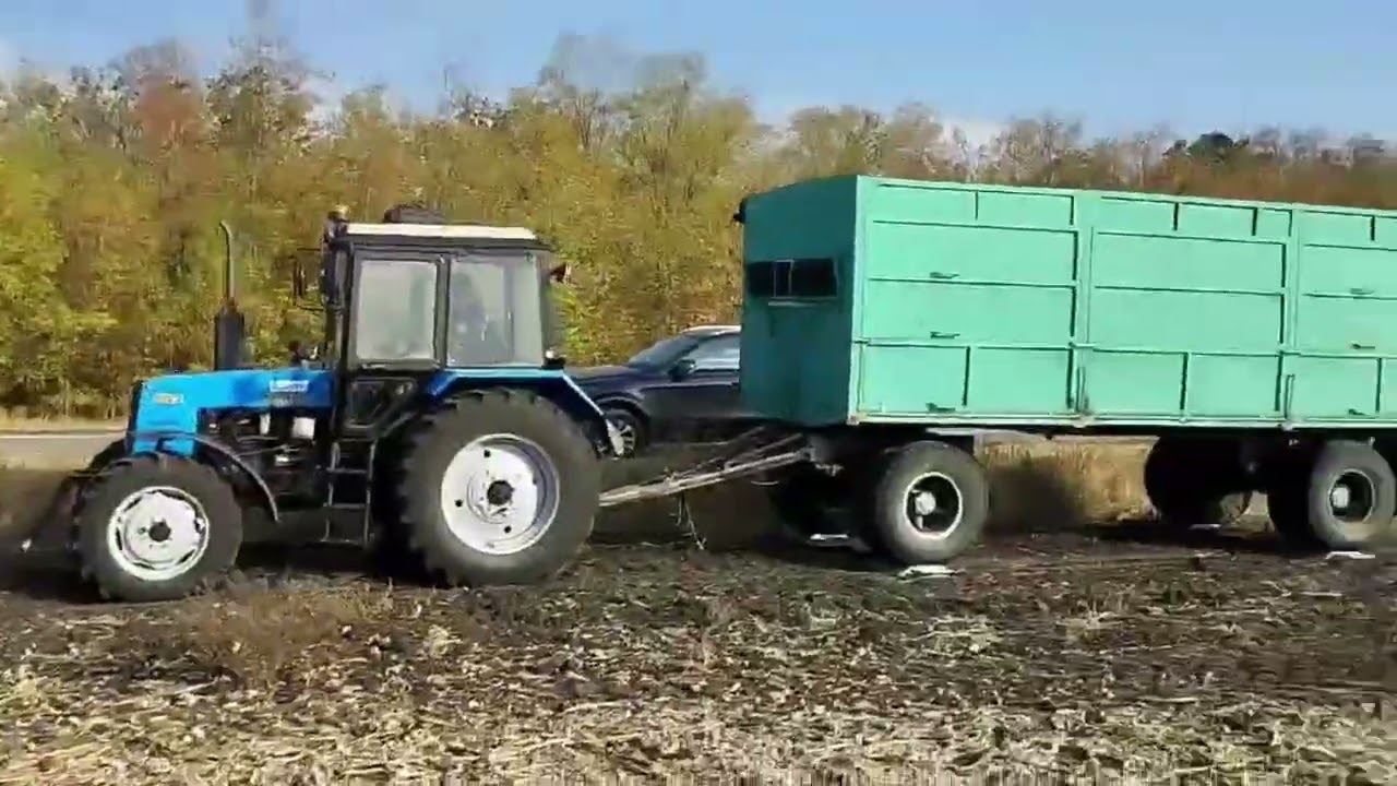 Демо поле Піонер, 🌻 соняшник по соняшнику без добрив і  опадів в спекотний рік!