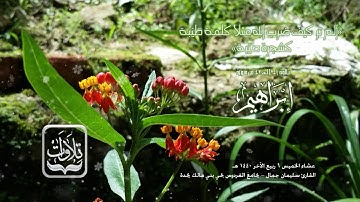 تلاوات | من سورة إبراهيم - القارئ سليمان جمال ١٤٤٠ هـ