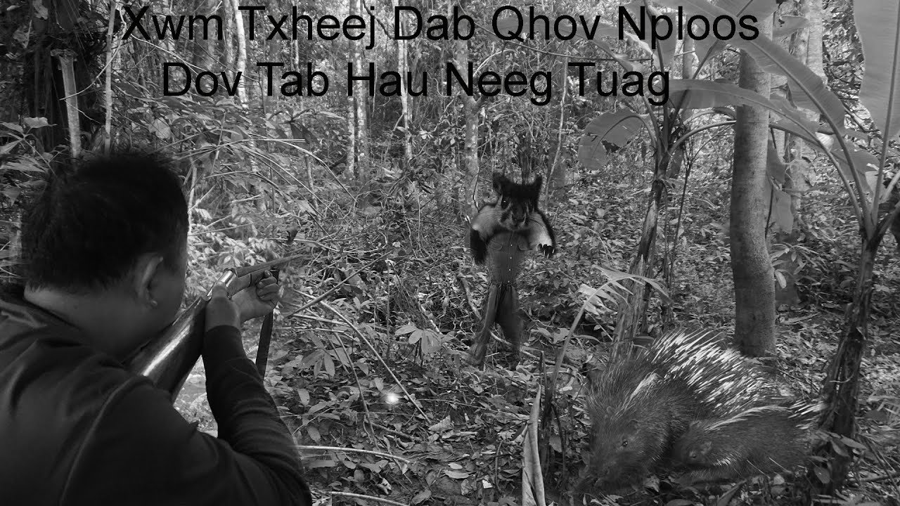 Nov 15, 2024 Xwm Txheej Dab Qhov Nploos Yees Siv Dov Tab Hau Neeg  Ntos Toj