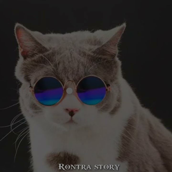 STORY WA, QUOTES 30 DETIK, KATA KATA ROMANTIS BUAT PACAR