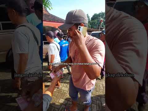 begini kalo sesama pemain bernegosiasi, saling nggak percaya #shorts #pasarsapi