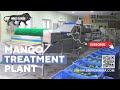 Mango treatment plant  mango processing  ssec ssengrindia