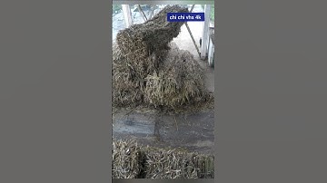 chi tiết kỹ năng lái cẩu an toàn hiệu quả trong khu công nghiệp