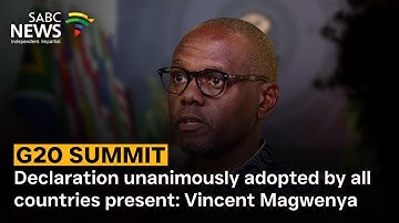 G20 Summit | Declaration unanimously adopted by all countries present: Vincent Magwenya