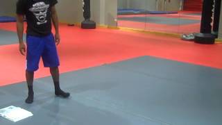 Knes 215 Developmental 1 Animal Movements. Tiremone Demonstration