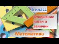 Отношения чисел и величин 6 класс