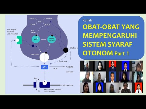 Video: Mengapa Sistem Vegetatif Disebut Otonom?